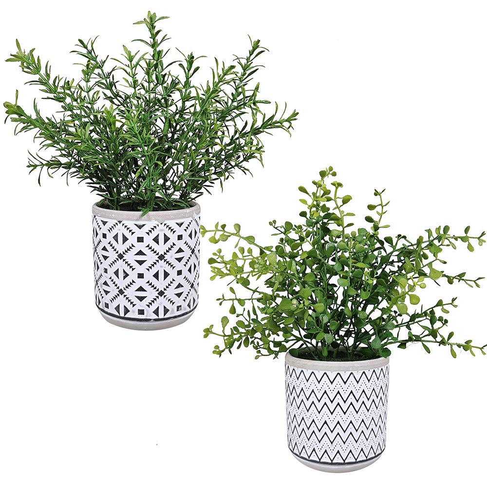 Winlyn 2 Pack Small Potted Eucalyptus Plant Artificial Plants Green Boxwood Rosemary Greenery in Modern Concrete Plant Pots