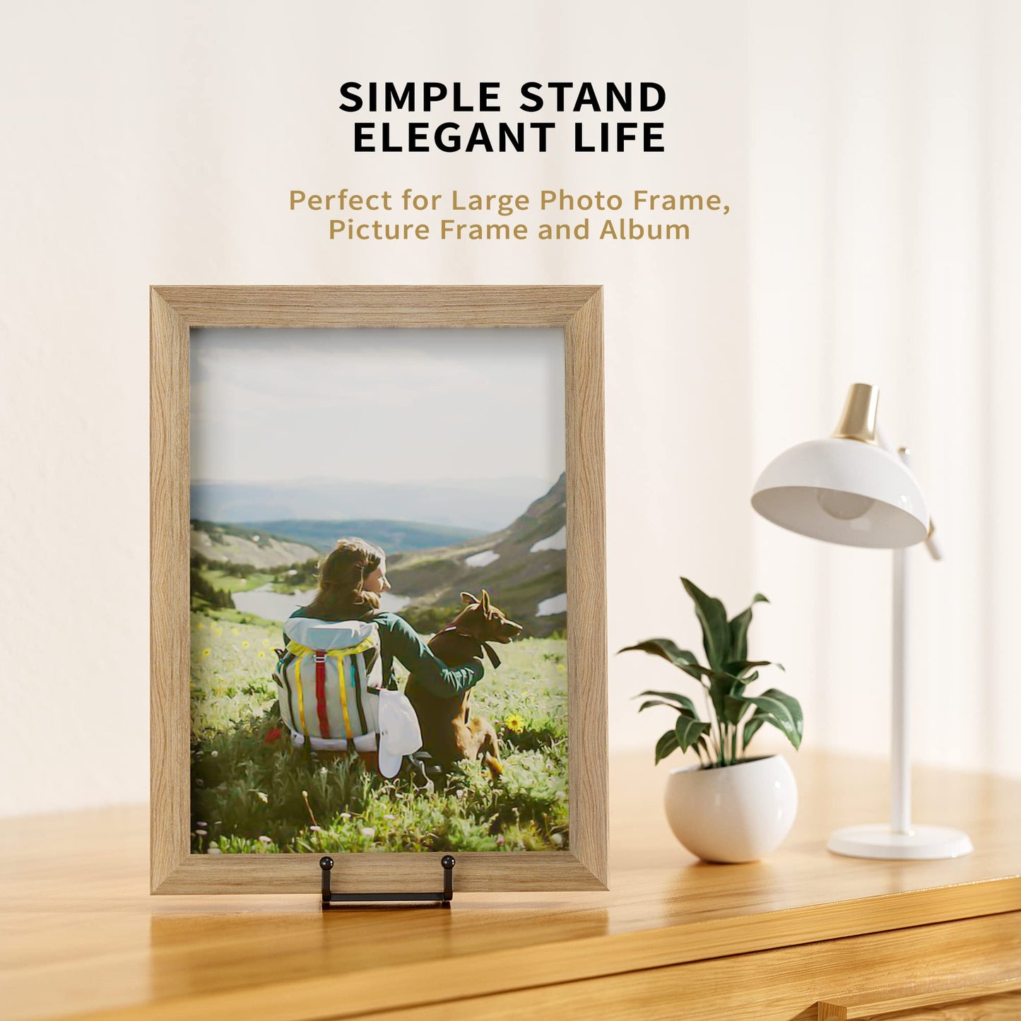 IPAME 3 Pack 8 Inch Large Plate Stands for Display - Metal Square Wire Plate Holder Display Stand + Picture Stand for Book, Platter, Plaque, Photo Easel