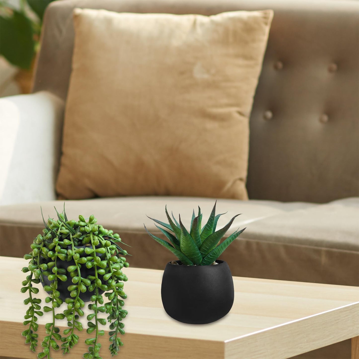Winlyn Set of 3 Artificial Succulent Plants in Black Concrete Pots Faux Aloe Hops String of Pearls Potted Plants Small Fake Plants Desk Plants for Home Office Desk Kitchen Bathroom Shelf Windowsill