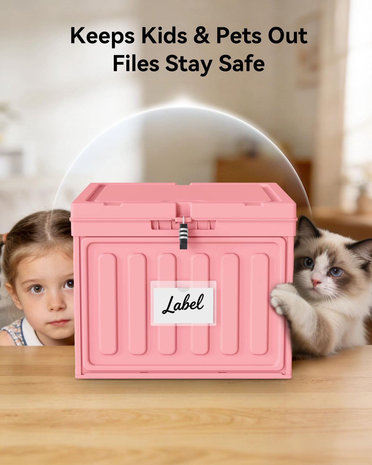 Oterri Plastic File Box with Lid for Letter Size Hanging File Folders, Hanging File Folder Box for Home, Office, School, File Cabinet, Assembly File Organizer, Pink，Large-2 Pack Without Folders