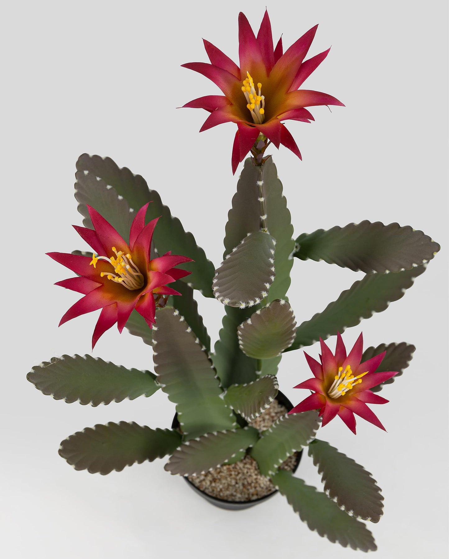 SUNPRAIRIE 33 Inch Large Artificial Cactus with Magenta Flowers in Pot with Natural Gravel. Satin Finish Leaves with Real Look and Feel. Outdoor and Indoor Faux Plants.
