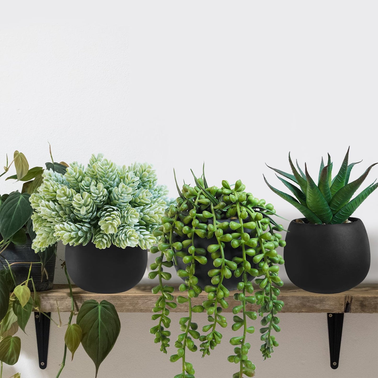 Winlyn Set of 3 Artificial Succulent Plants in Black Concrete Pots Faux Aloe Hops String of Pearls Potted Plants Small Fake Plants Desk Plants for Home Office Desk Kitchen Bathroom Shelf Windowsill