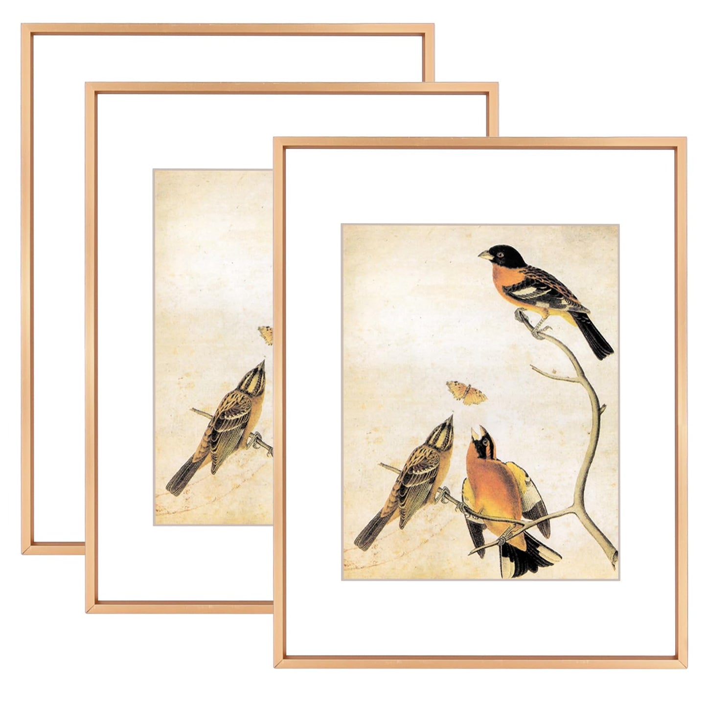 BKABOT 11x14 Picture Frame Set of 3, Gold Metal Photo Frames with HD Glass, Fits 8x10 with Mat or 11 x 14 without Mat, Display for Wall