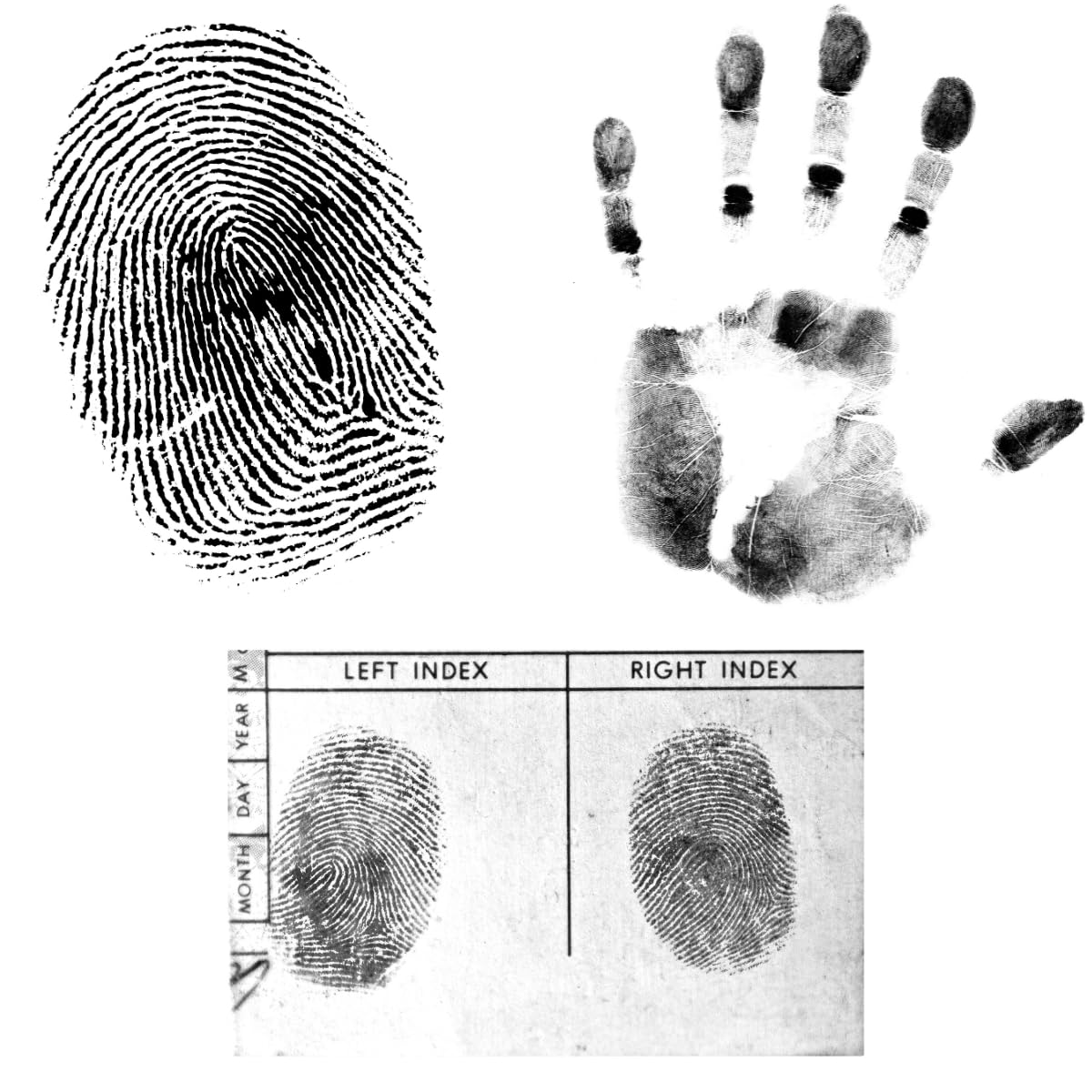 Fingerprint Ink Pad Ultra-Black 6.2" – Quick-Dry, Flawless, Non-Toxic Ink for 10,000+ Clear Prints – Large Stamp Pad for Notary, ID Verification, Banks, Schools, Law Enforcement & Legal Forms