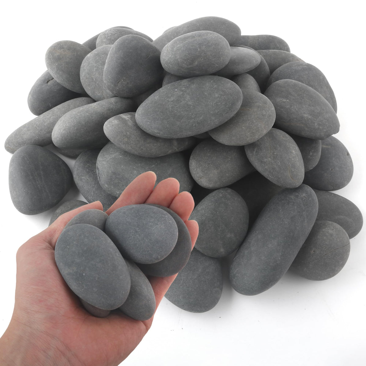 Quibbay 5 lbs Natural Mexican Beach Pebbles, 1-2 Inch Large River Rocks for Plants and Landscaping, Decorative Stone for Fish Tank Aquarium Fountain Garden Paving Walkways Pathways Backyard, Grey