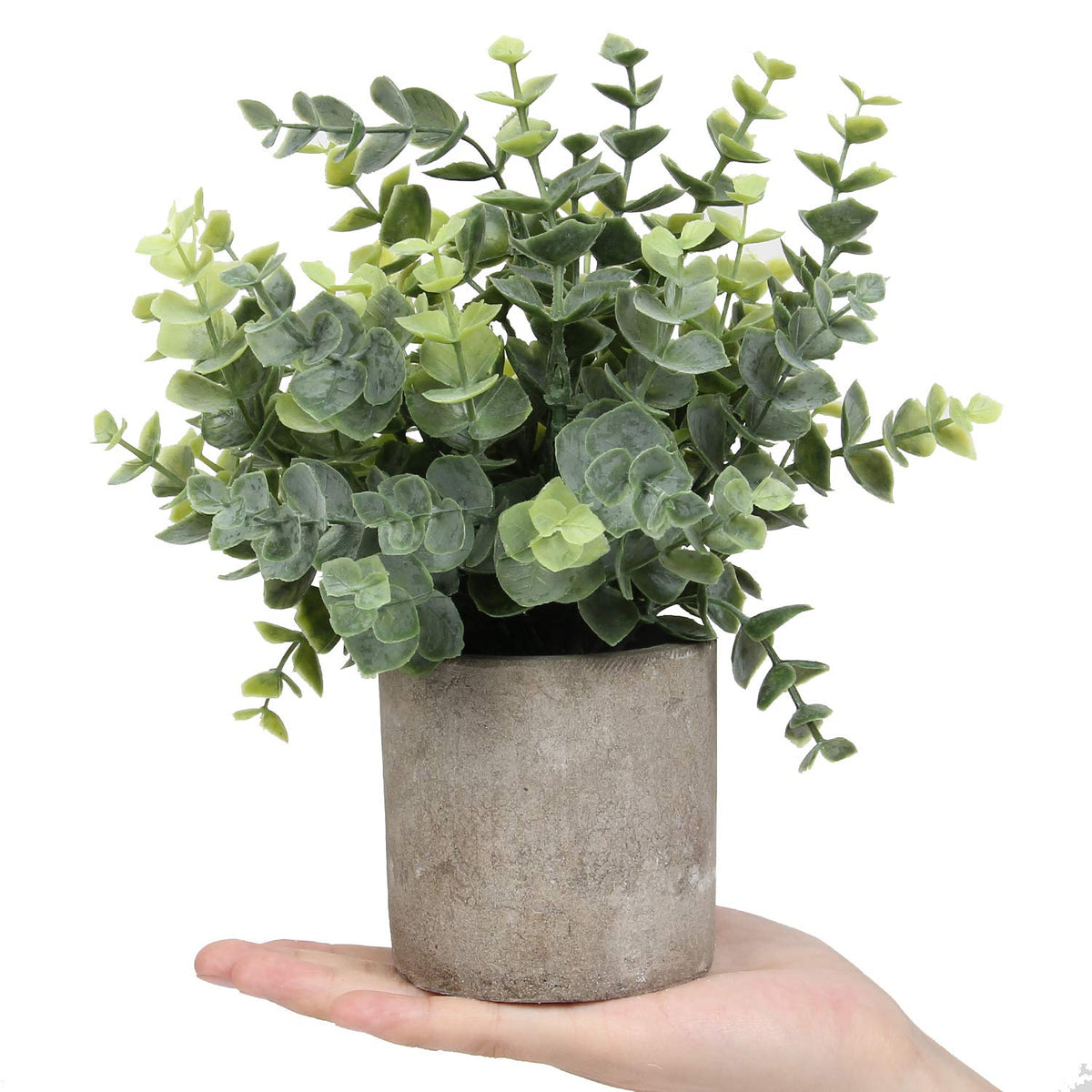 Flojery Mini Potted Plants Artificial Eucalyptus Boxwood Rosemary Faux Herbs Small House Plants 8.3"-9" Tall for Indoor Greenery Tabletop Décor Centerpiece (Sprayed Eucalyptus)