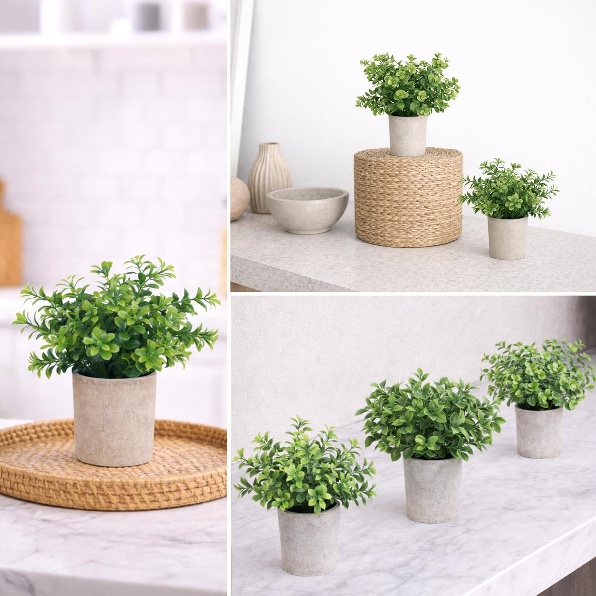 NyxGarden Small Plants Decor-Set of 3 Mini Artificial Plants, Lifelike Potted Greenery for Bathroom, Desk & Shelf Decor, No Maintenance Fake Plants for Home & Office Styling