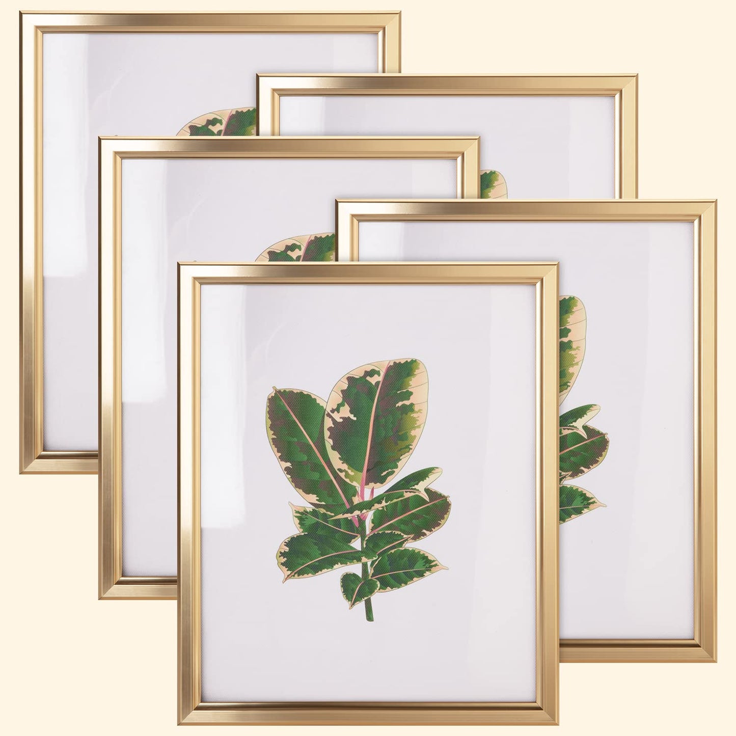 euwazram 8x10 Picture Frame - Set of 5, Matte Gold 8 x 10 Photo Frame with High-Definition Glass, Modern 8x10 frame for Tabletop or Collage Wall, Perfect Christmas Frame