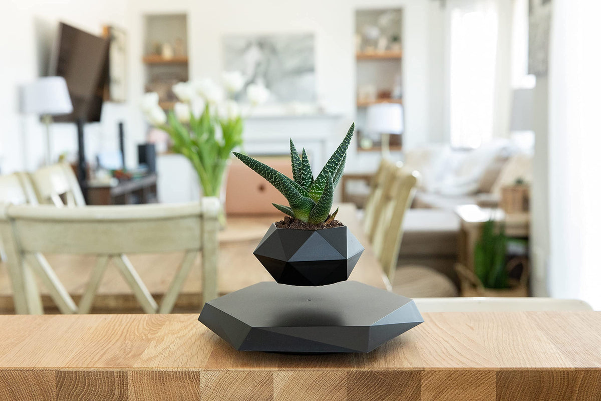 BandDlevs Floating Pots for Plants - Levitating Pot - Levitating Planter for Bonsai, Succulents, Air Plants - Floating Magnetic Display for Home Office Desks - Magnetic Levitation Plant Holder (Black)