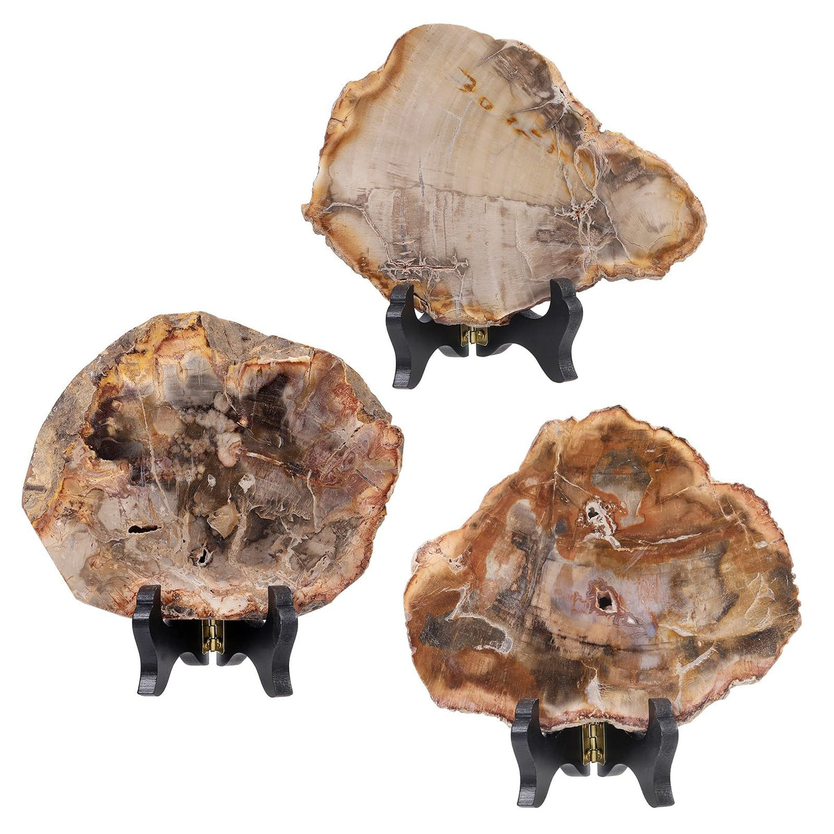 moonsix Irregular Petrified Wood Slab with Wooden Stand, Natural Mineral Stone Specimen Display for Feng Shui Decor Collection