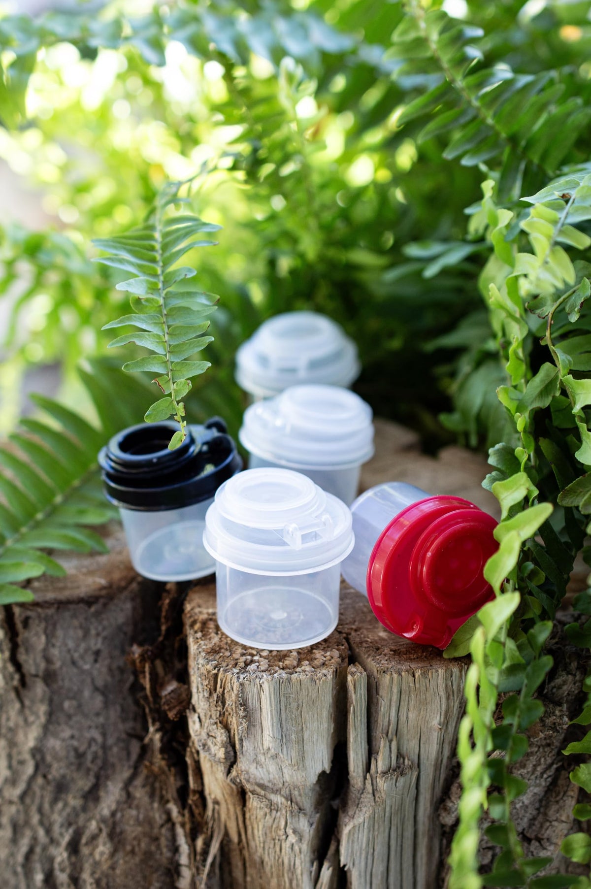 BRAZZA Salt and Pepper Shakers Moisture Proof Set Perfect to go Camping Picnic Outdoors Kitchen Lunch Boxes Travel Spice Set Clear with Black Lids Plastic Airtight Spice Jar Dispenser (5 mini)