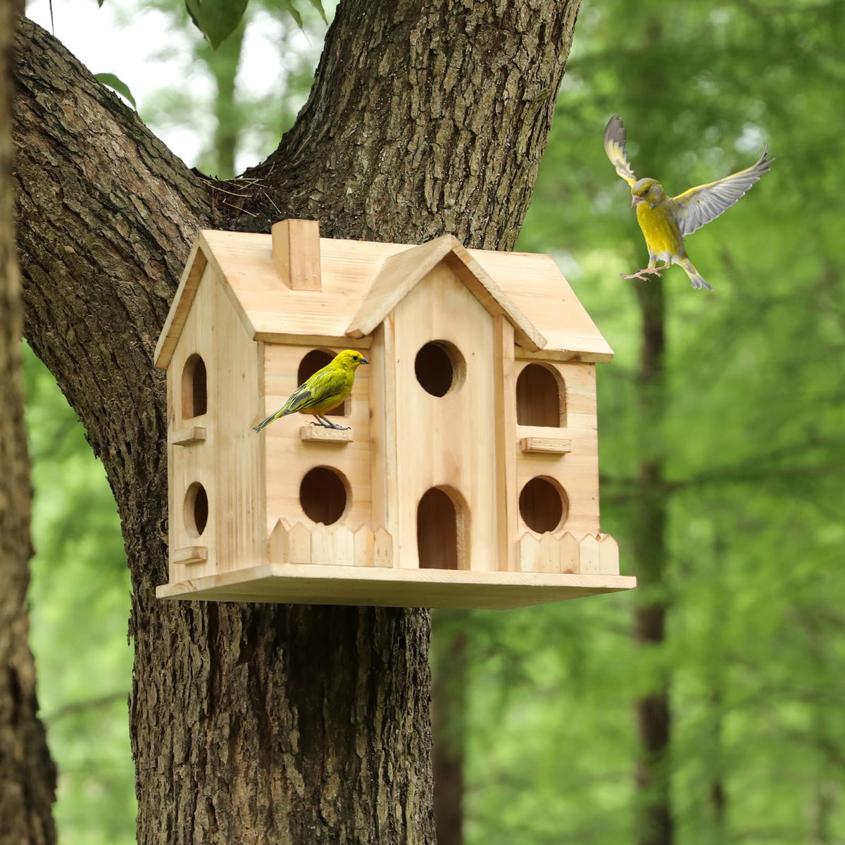 Bird Houses for Outside,10 Hole Wooden Birdhouse for Outdoor Large Hanging Bird House Backyard Birding & Wildlife (10 Hole)