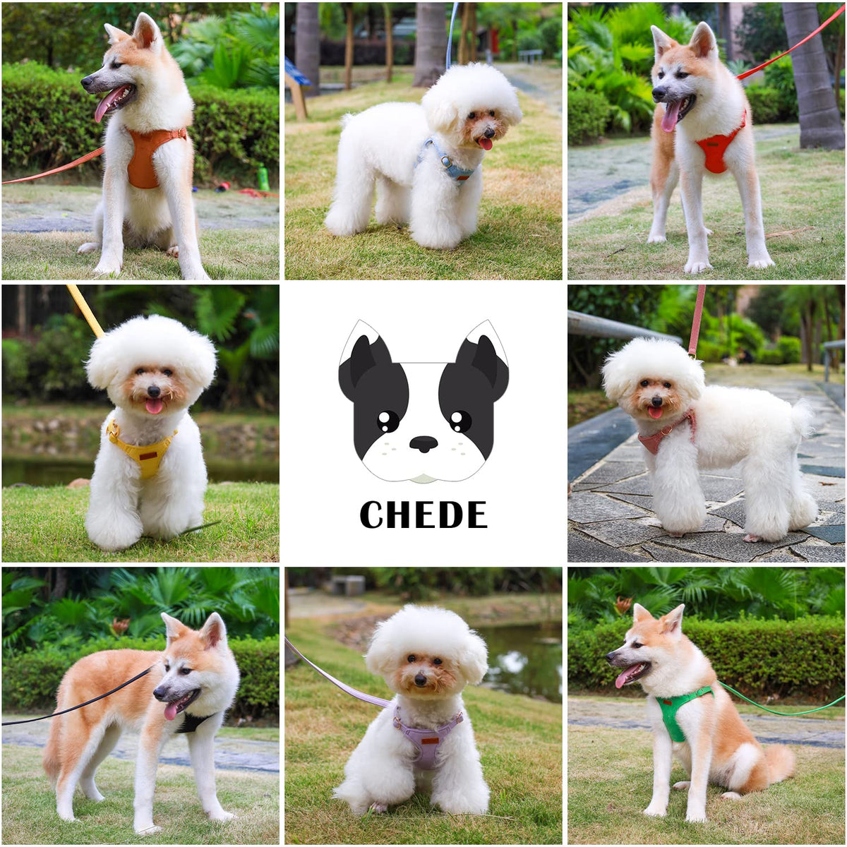 CHEDE No Pull Puppy Harness and Multifunction Dog Leash Set- 8 Colors Soft Adjustable No Choke Escape Proof Cute,Lightweight Pet Vest Harness for Small and Medium Dog (XS, Antique Pink)