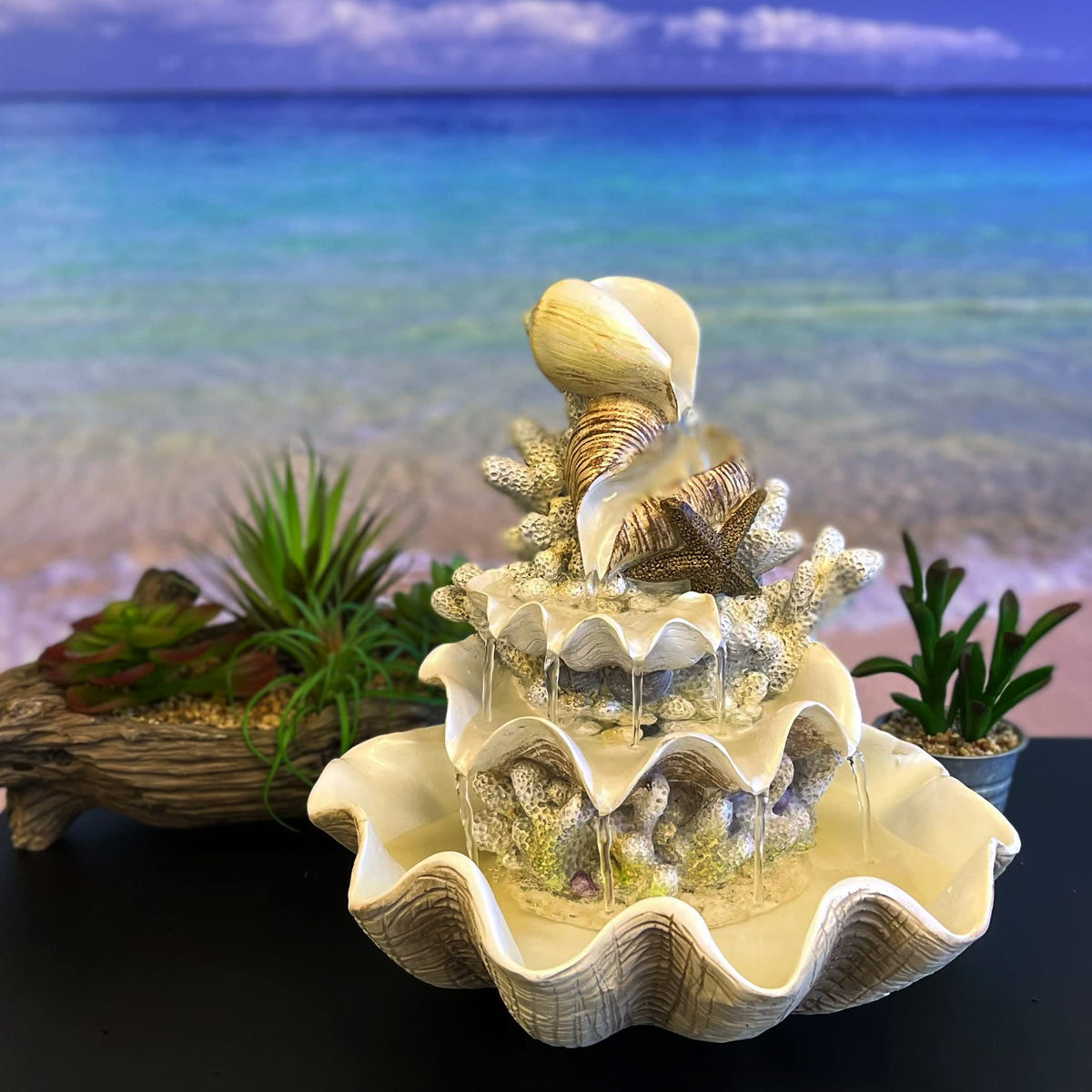 10.5" H Coral Reef Shell Fountain Indoor Fountain with LED Lights and Adjustable Motor Pump (Power Cord Attached) (Resin)