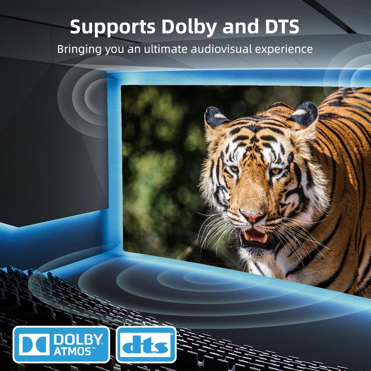 Displayport Switch 2-in-1-out, 8K@60Hz, 4K@120Hz, Resolution DP 1.4 DisplayPort Switcher Selector Box【Not Support Bi-Direction .Not Support1 in 2 Out 】