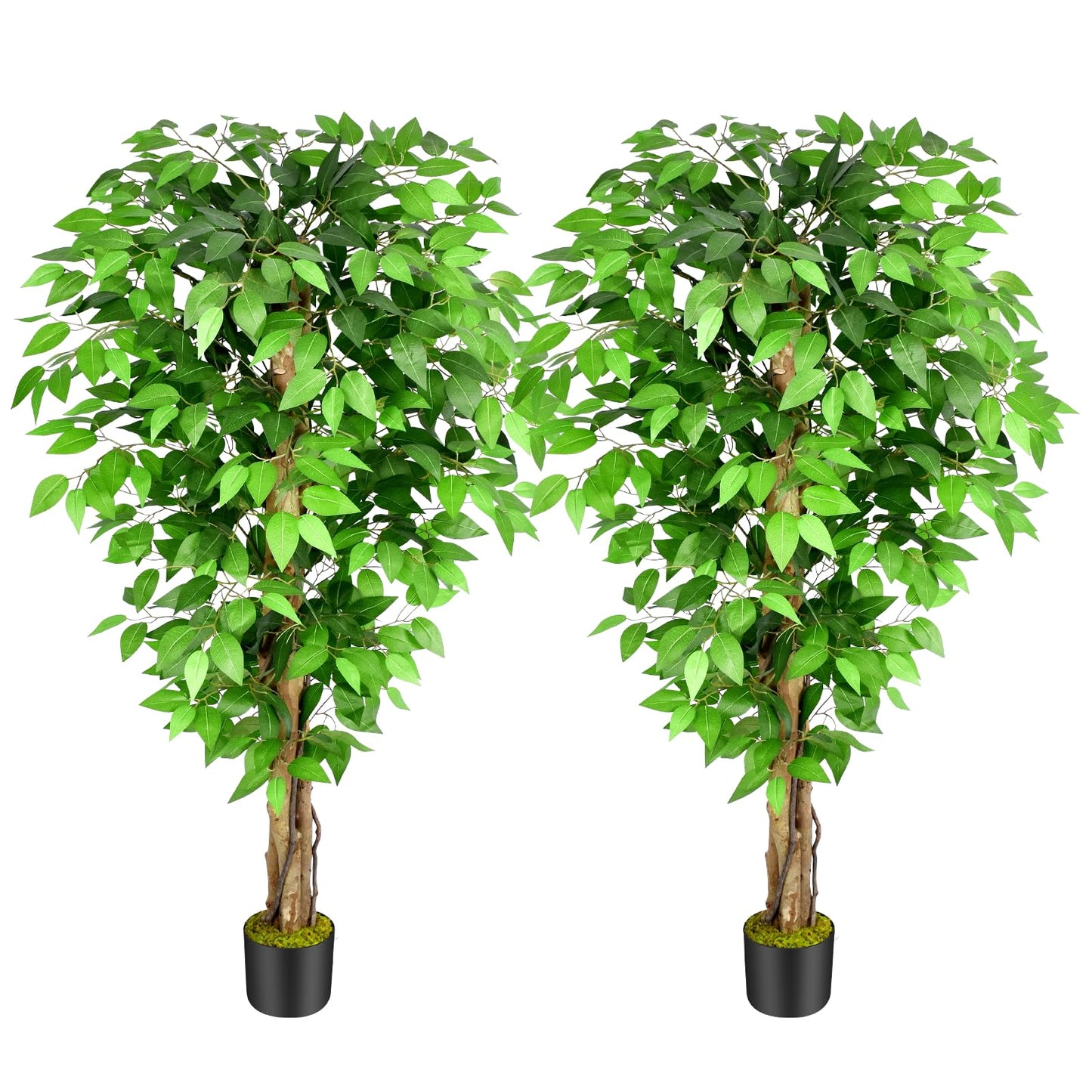 Keeplush 5ft Ficus Artificial Trees with Natural Curved Trunks, 60" Tall Lush Faux Tree for Home Decor Indoor, Green Lifelike Fake Ficus Tree Artificial Plants (Set of 2)