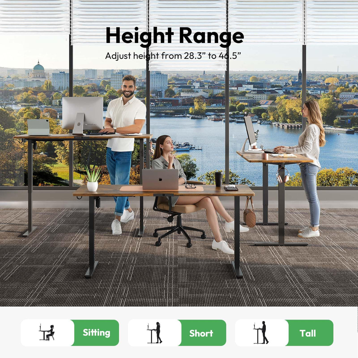 Gamork Electric Standing Desk with Drawers,48x24 inches Height Adjustable Sit-Stand Desk with Storage Shelf,3 Preset Heights,Equipped with Hooks,Ergonomic Gaming Table for Home and Study，Brown