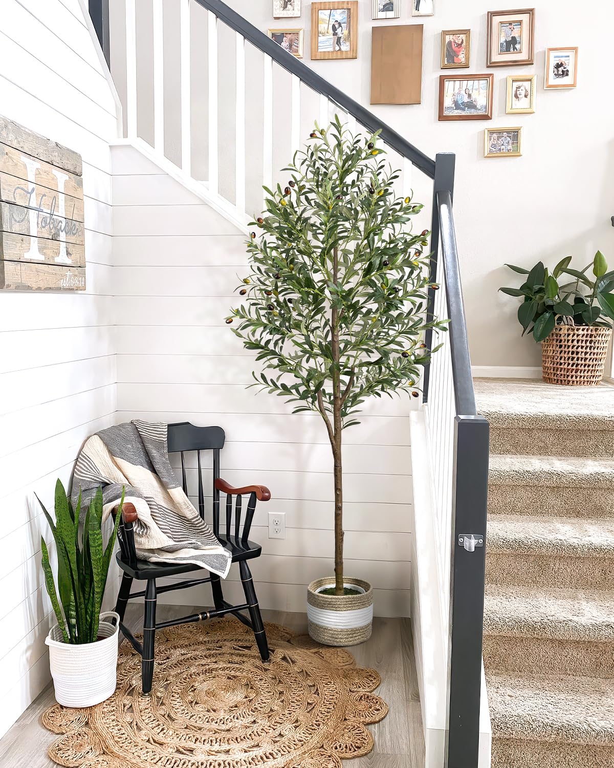 LuceAlberi 6FT Artificial Olive Tree - Indoor Tall Faux Olive Trees with Planter&Basket, Large Fake Olive Silk Tree Realistic Olive Plants with Branches and Fruits for Home Decor Office Living Room