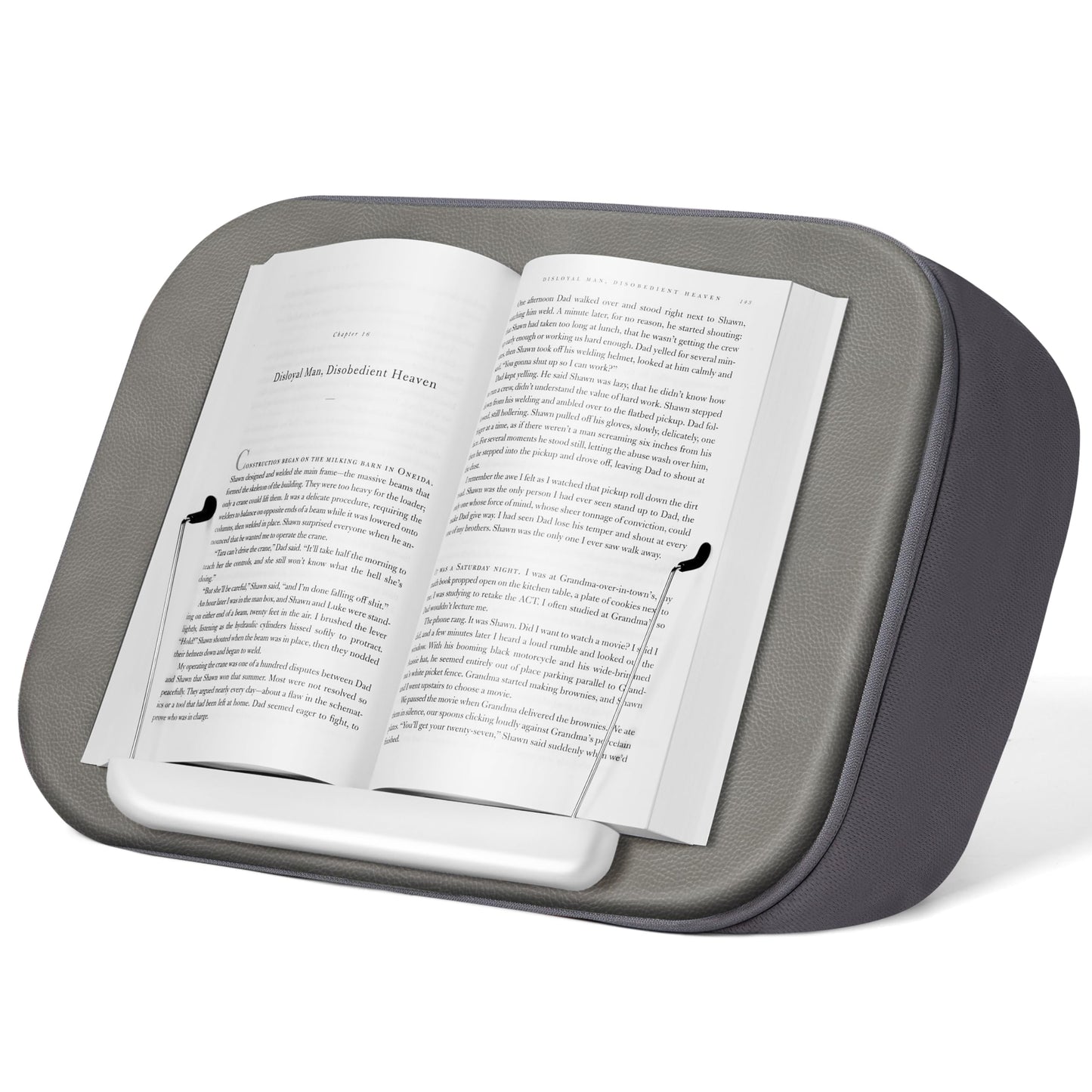 InnoGear Lap Beanbag Pillow Stands Book Holder, Hands-Free Tablets Mount Holder Cozy for Reading in Bed Desktop Accessories for iPad Kindle Books E-Reader