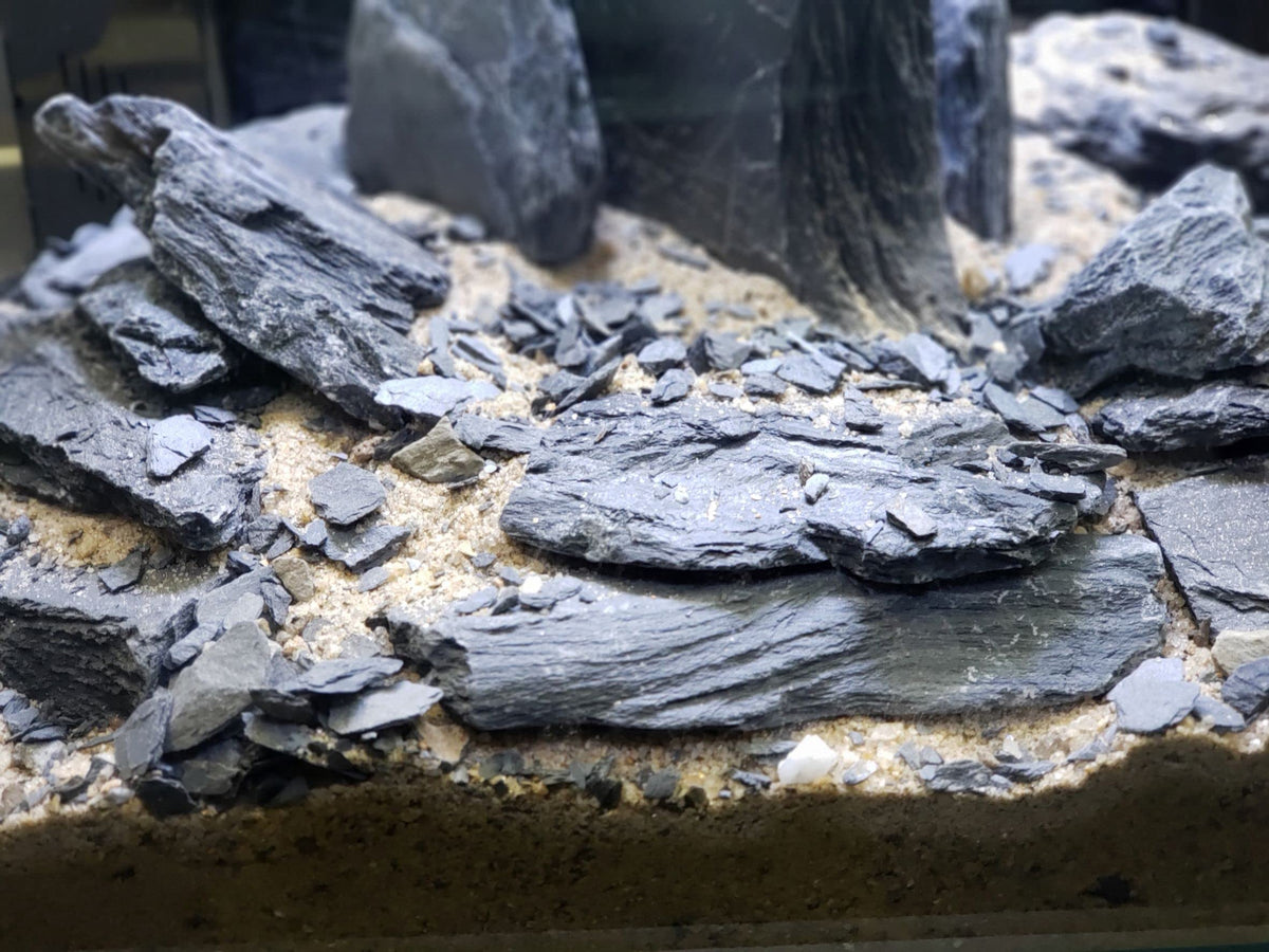 Natural Slate Stone 5 to 7 Inches - USA Sourced and Packaged for Aquascaping Aquariums, Terrariums, Paludariums, Reptile Enclosures, and Gardens (10lbs)