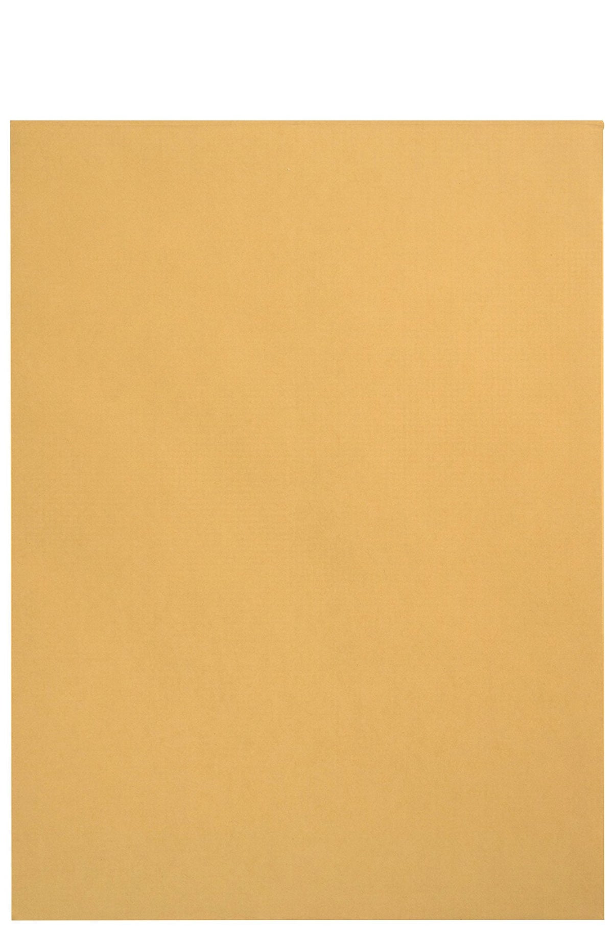 100 6 x 9 Self Seal Golden Brown Kraft Catalog Envelopes - Oversize 6 x 9 Envelope Peel and Seal Flap with 28 Pound Kraft Paper Envelopes - Printer Friendly Design - 100 Count