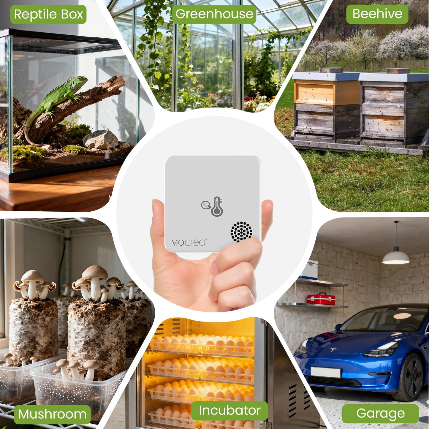 MOCREO WiFi Room Thermometer Hygrometer, Remote Email App Alert, 2 Years Data Export, 2 Years Battery, No Subscription, 3 Smart Temperature Sensors for RV, Greenhouse, Vacation Home, HVAC