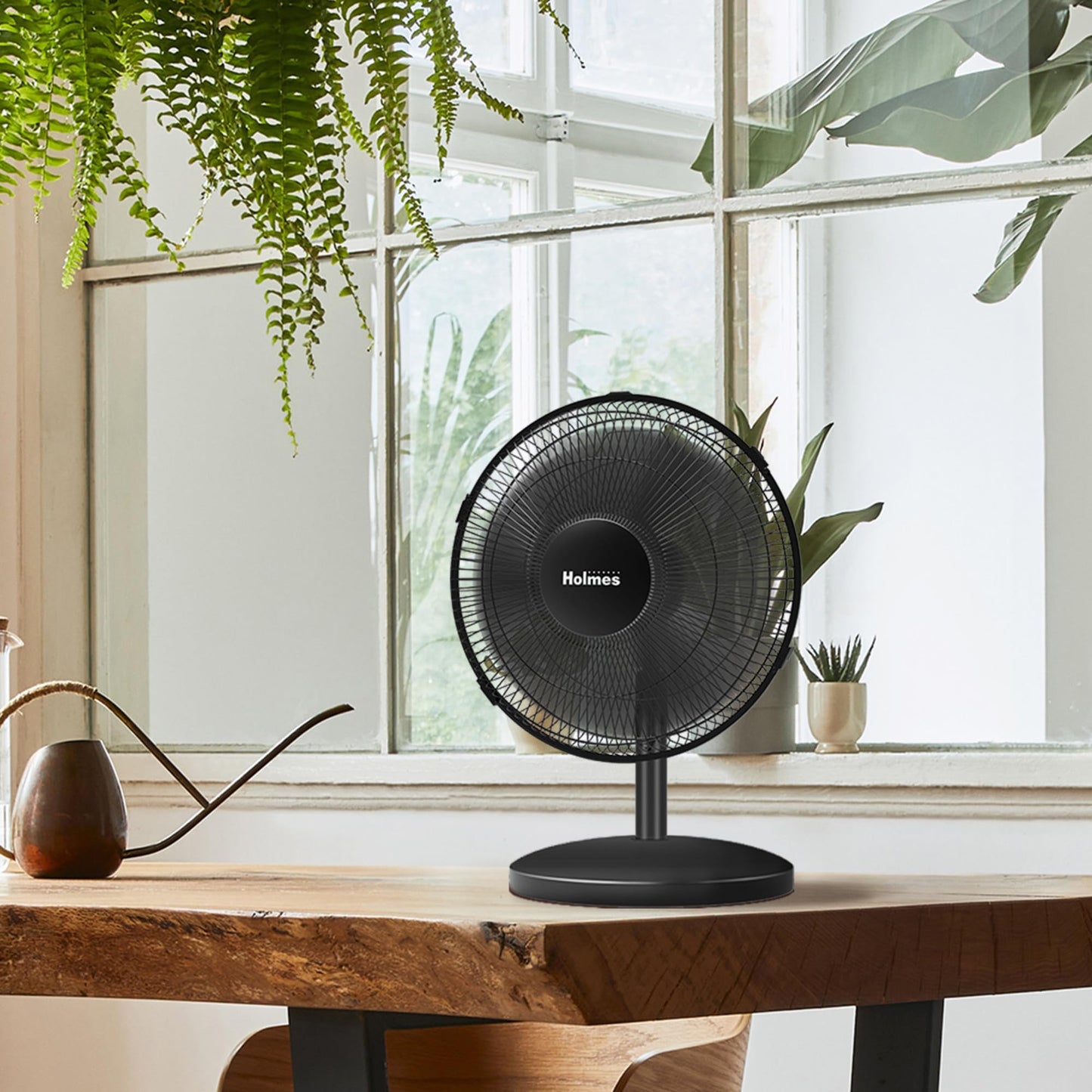 Holmes 12 Inch Oscillating Table Fan 3 Speeds 75 Degree Wide Angle Oscillation Adjustable 15 Degree Tilt Quiet Operation Home Office Bedroom Kitchen Black