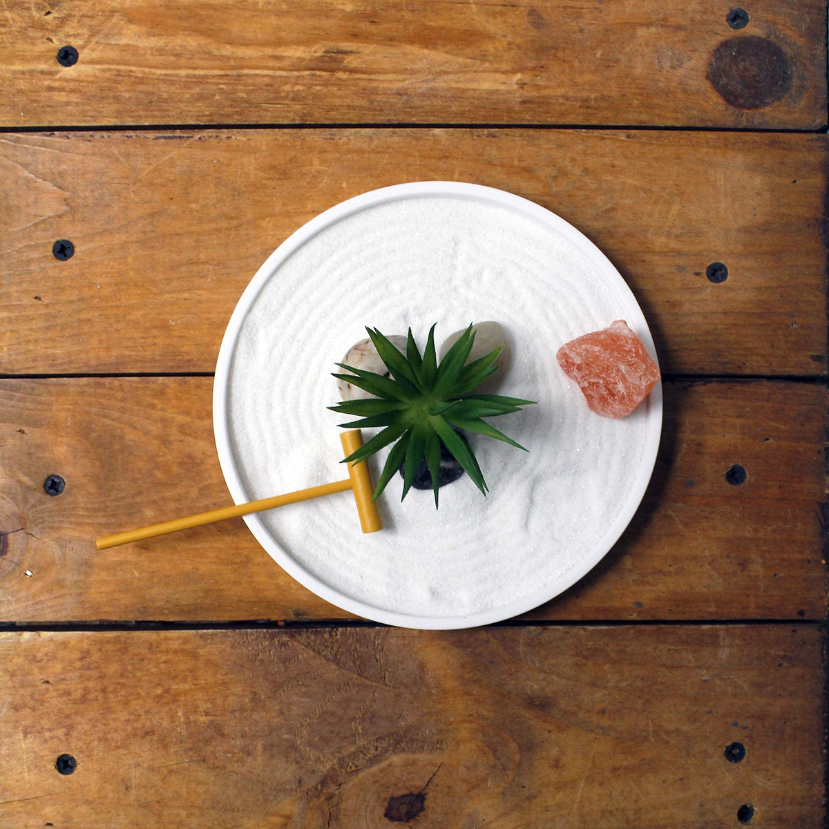 Nature's Mark Mini Zen Garden Kit for Desk with White Sand, Rake, White Base, Salt Rock and Air Plant (Round)