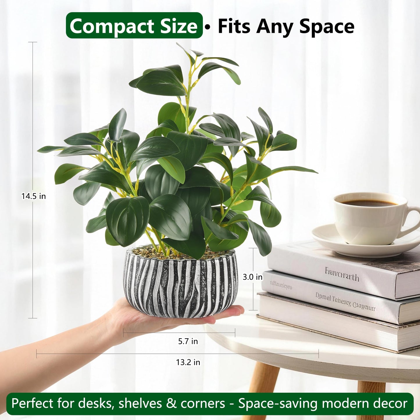 florisso Artificial Succulents with Fig Leaf Greenery in Rustic Clay Planter, Fake Succulents Potted Decor for Farmhouse, Bathroom, Bedroom, Kitchen, Office Desk and Coffee Table (Black White)