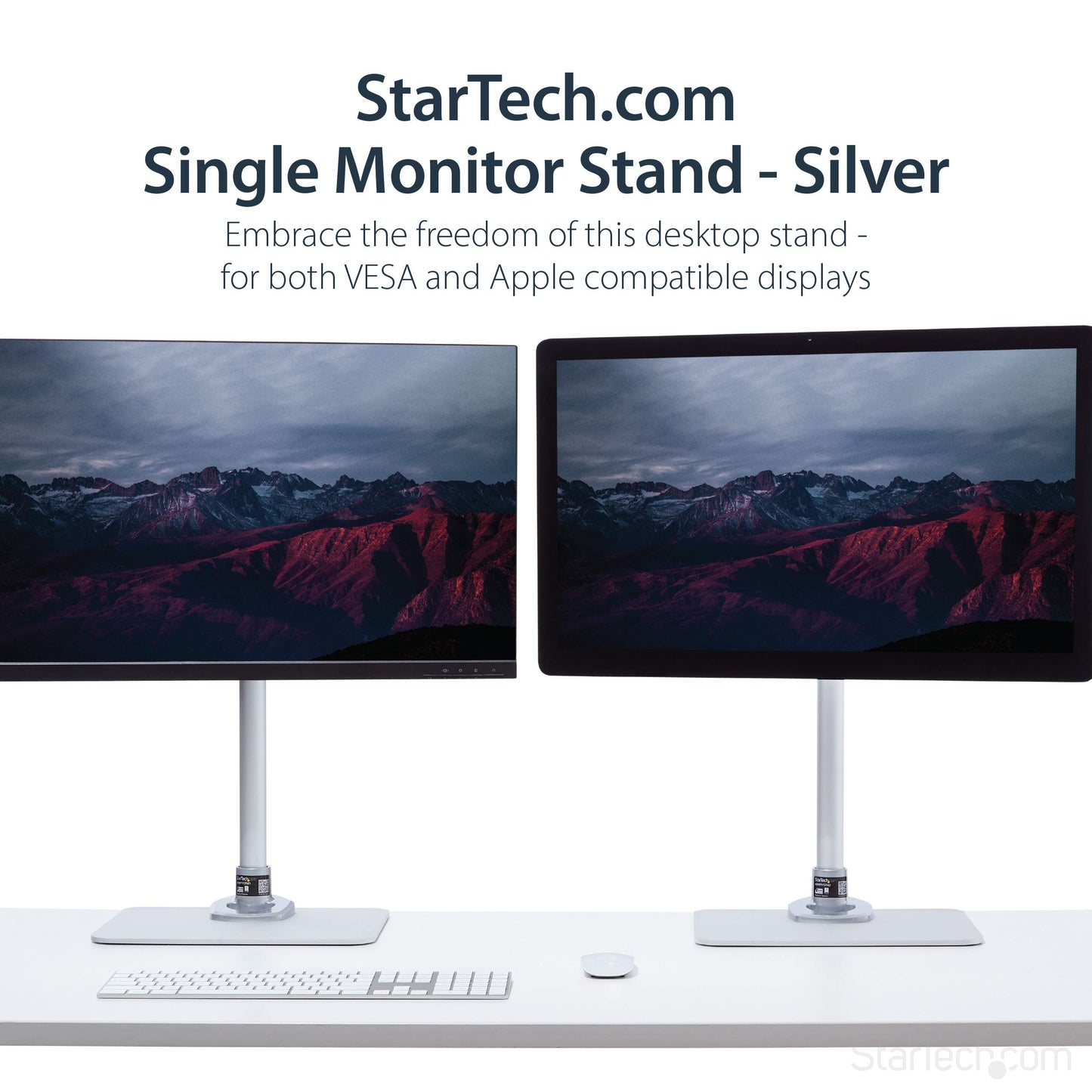 StarTech.com Single Monitor Stand, Adjustable, Supports UHD, iMac and Apple Thunderbolt Displays from 12'' to 34" (30.9lb/14kg), Premium Single Screen VESA Monitor Mount Stand, Silver, TAA
