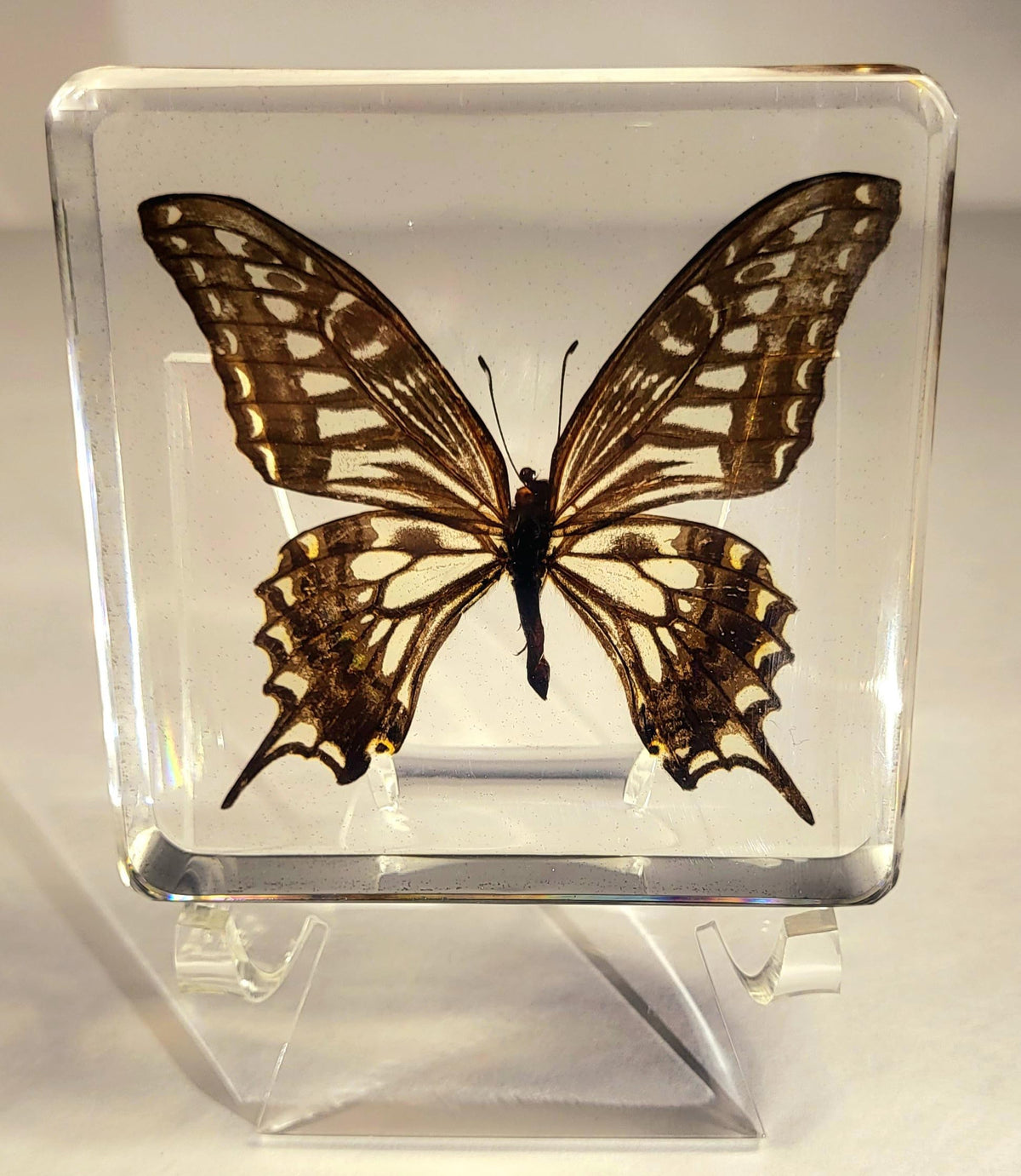 HQRP-Crystal 3" Acrylic Display Stand Pedestal for Crystal Heart / Slice / Slab and other Stones