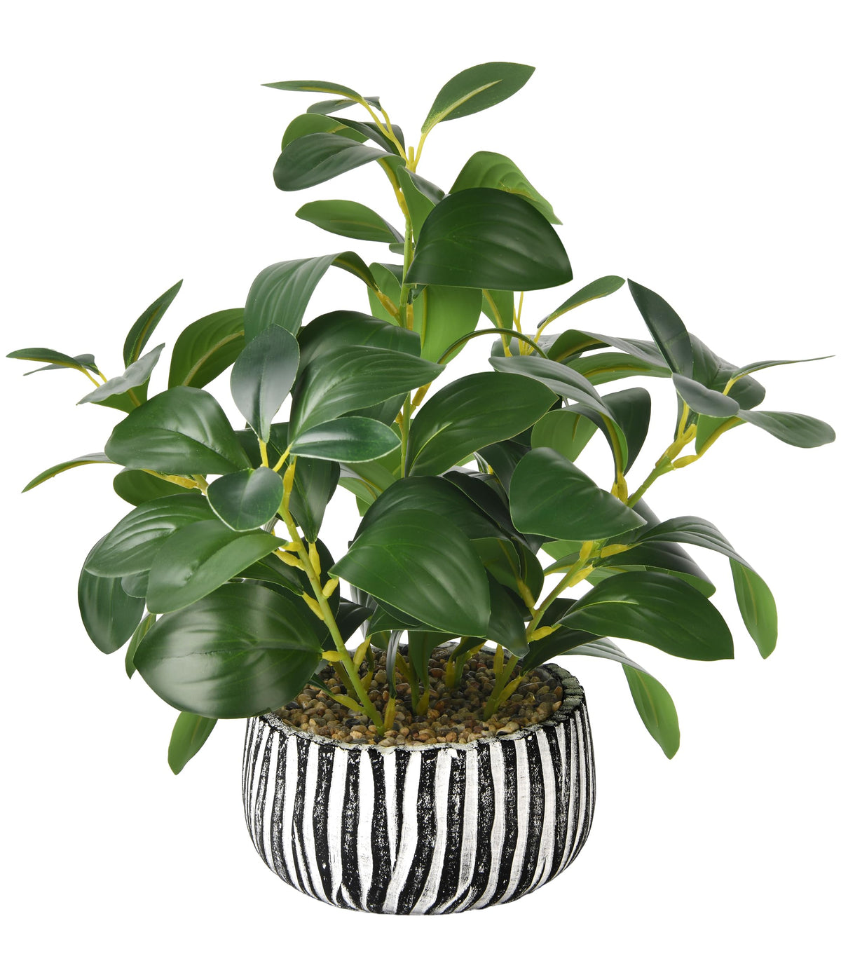 florisso Artificial Succulents with Fig Leaf Greenery in Rustic Clay Planter, Fake Succulents Potted Decor for Farmhouse, Bathroom, Bedroom, Kitchen, Office Desk and Coffee Table (Black White)