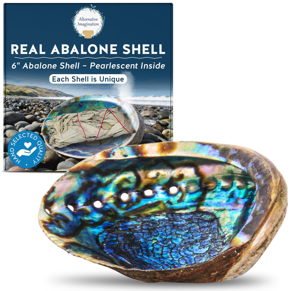 Alternative Imagination Hand Selected Abalone Shell - 6 Inches or Larger - Polished Mother-of-Pearl Interior - Flame-Proof Dish for Incense, Smudge Sticks, Trinkets, Crystal Display & Home Decor