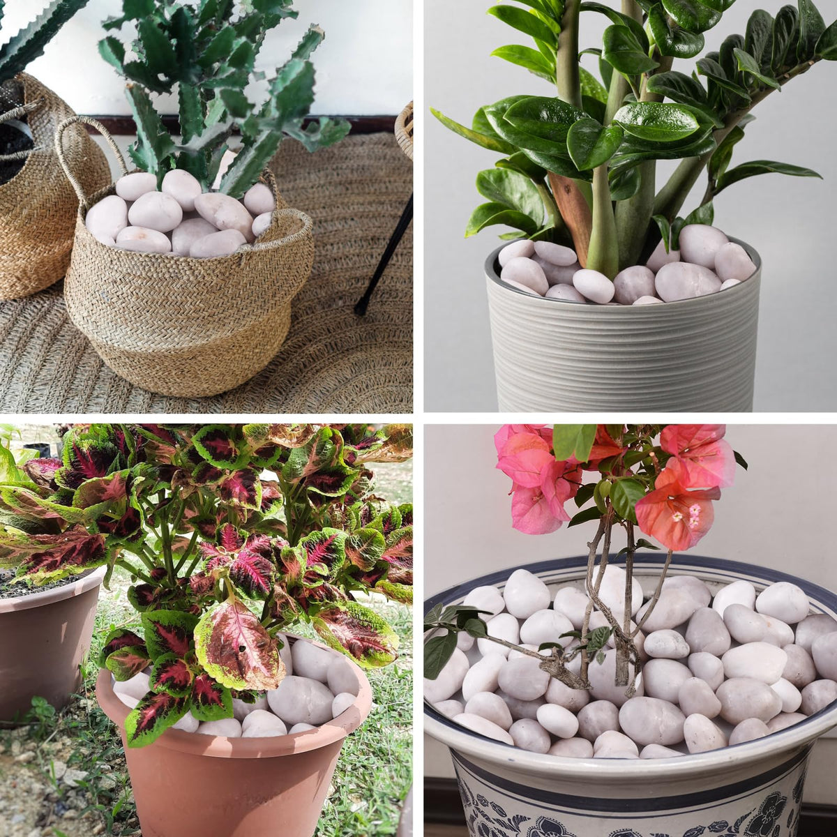 Lechloris 20Ib White River Rocks for Landscaping- High Polished Pebbles for Plants-Garden Decorative Stones-1-2 Large Plant Rocks,Ideal for Aquarium, Home Decor