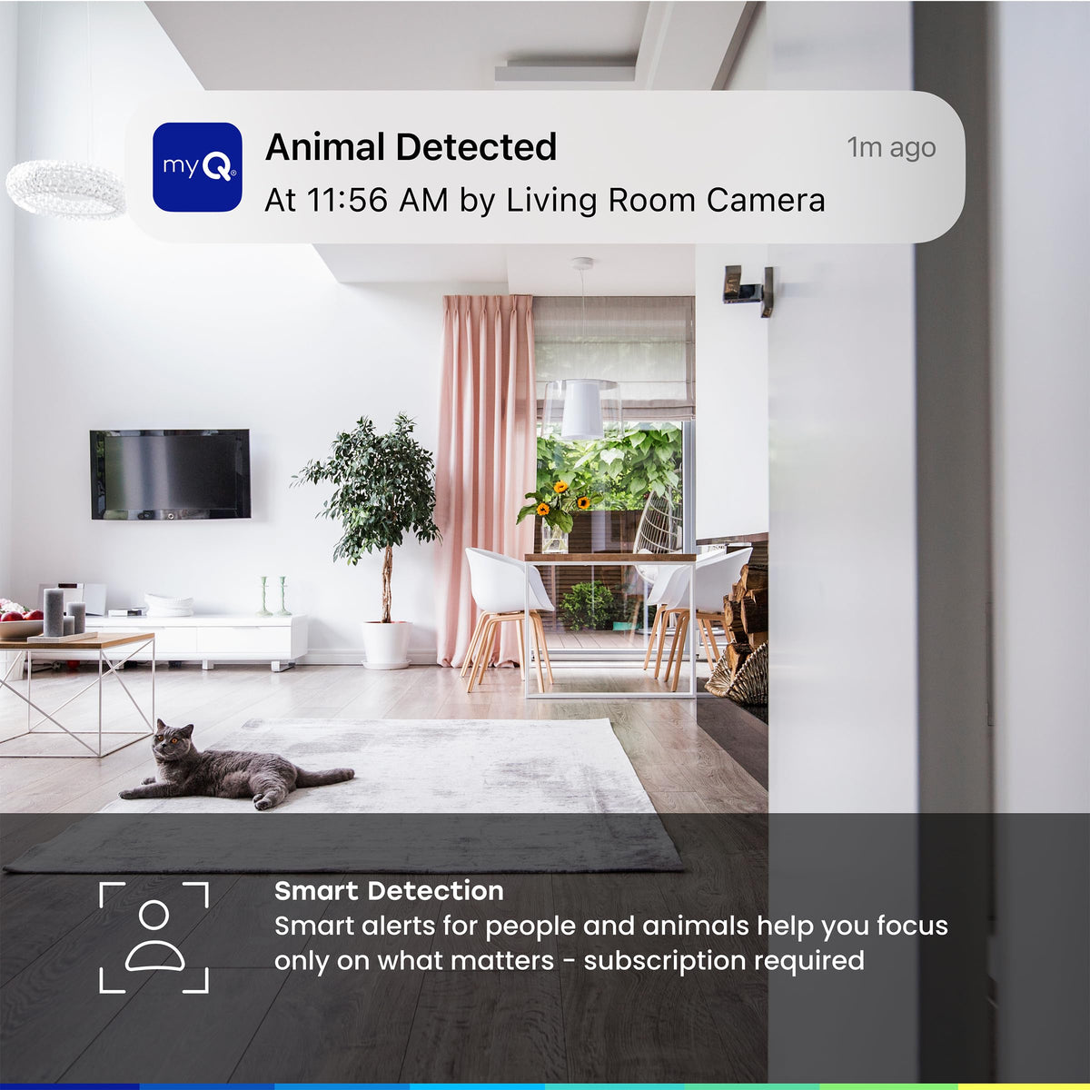 myQ Indoor Plug-in Security Camera Gen 2 – 2K Smart Wi-Fi Camera with Night Vision, Baby and Pet Monitor, Motion Detection and Alerts, 2-Way Audio & App Control, 2 Pack