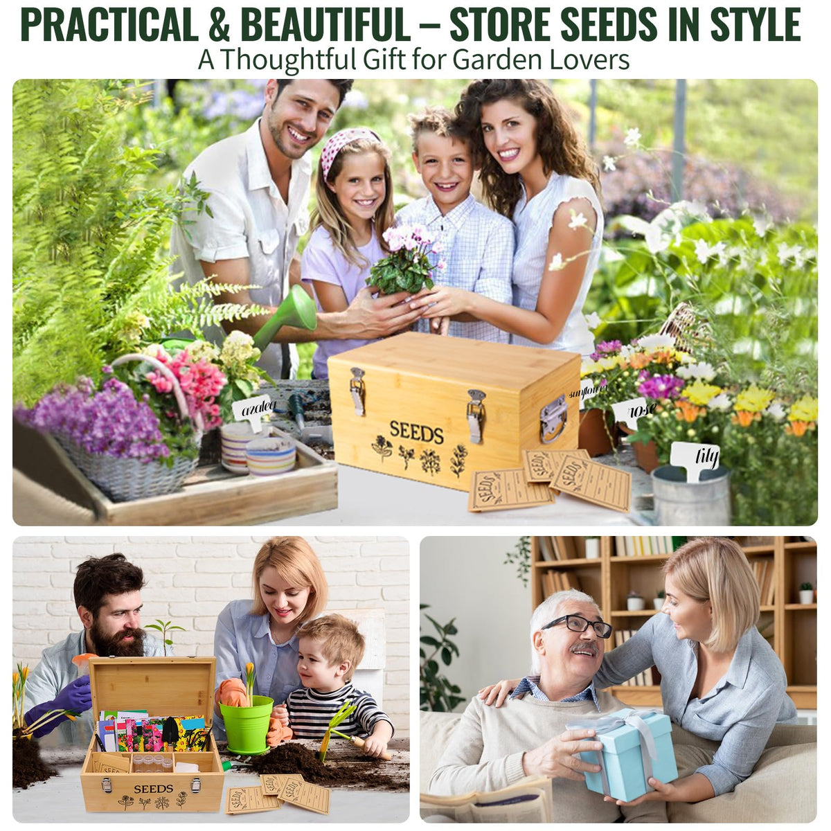 Intarsio Large Bamboo Wood Seed Storage Organizer Box with Lid,Double-Layer Seal Design Seed Saving Box with 304 Stainless Steel Safety Lock,Handles,Extra Seed Envelopes and Labels (Wood)