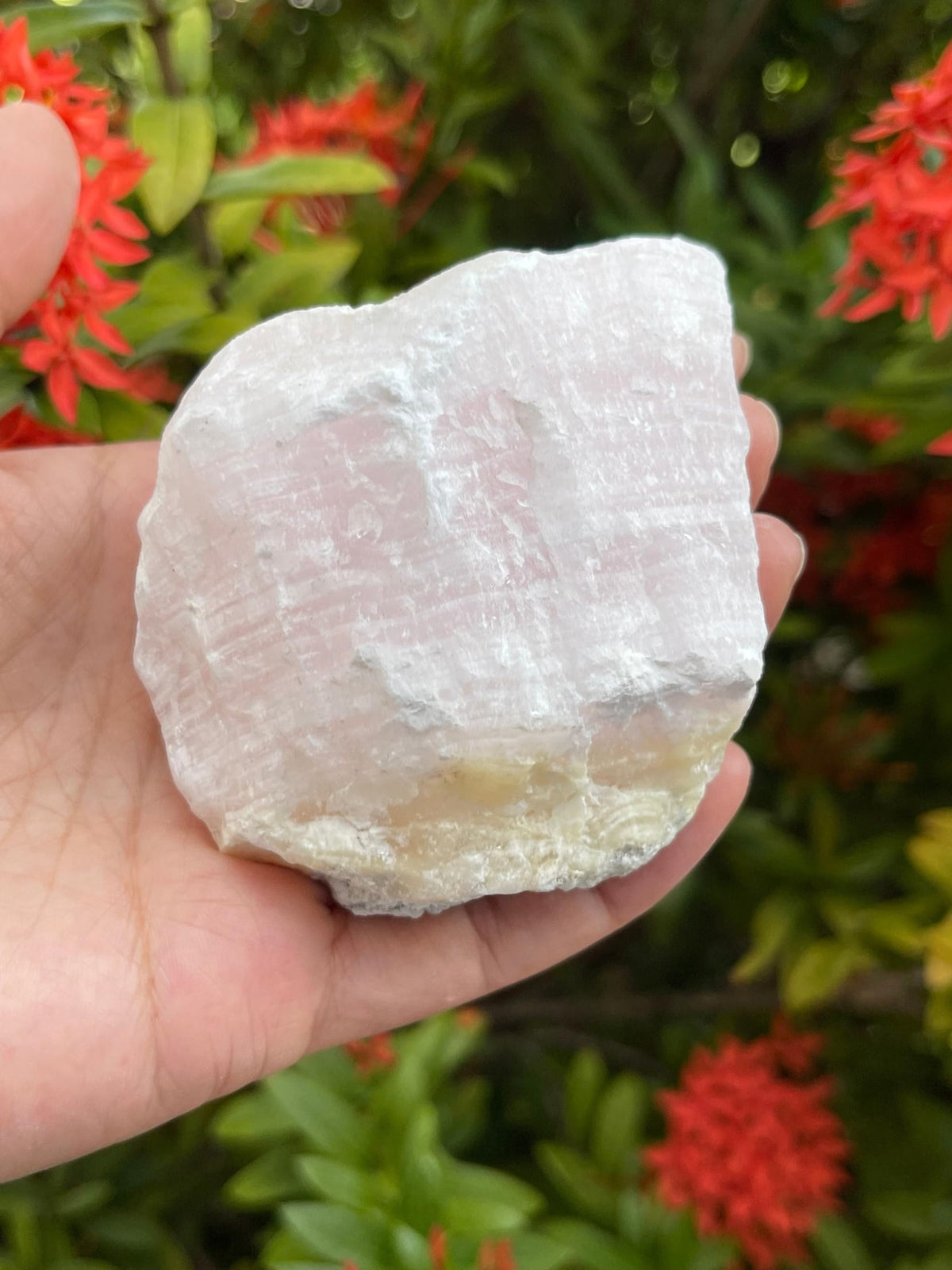 GAF TREASURES X-Large Pink Calcite Calcite Rough Natural Stones, Raw Calcite Pink Crystals (0.25-0.5 Pounds)