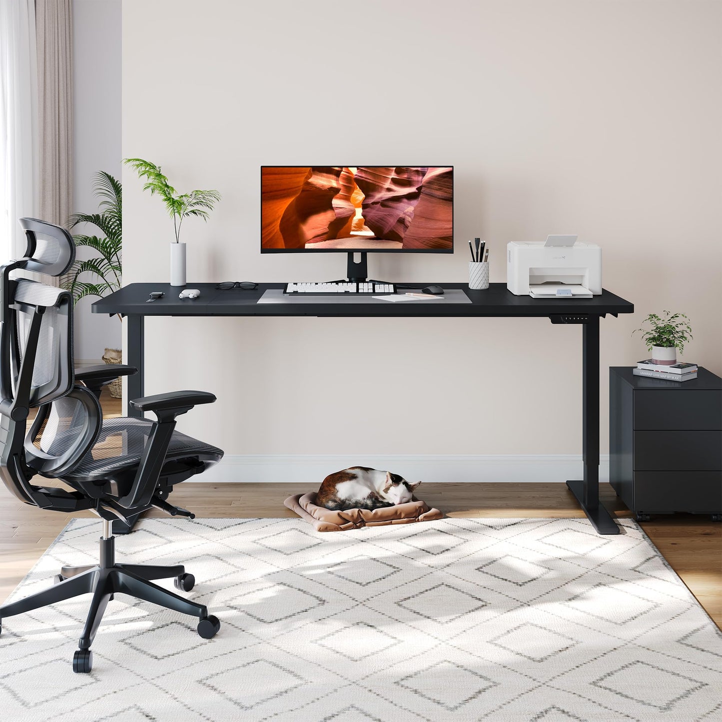 FitStand Dual Motor Standing Desk, Large Stand Up Desks, 79x31 Inches Electric Sit Stand Desk, 4 Memory Preset Adjustable Height Home Office Desk (Black)