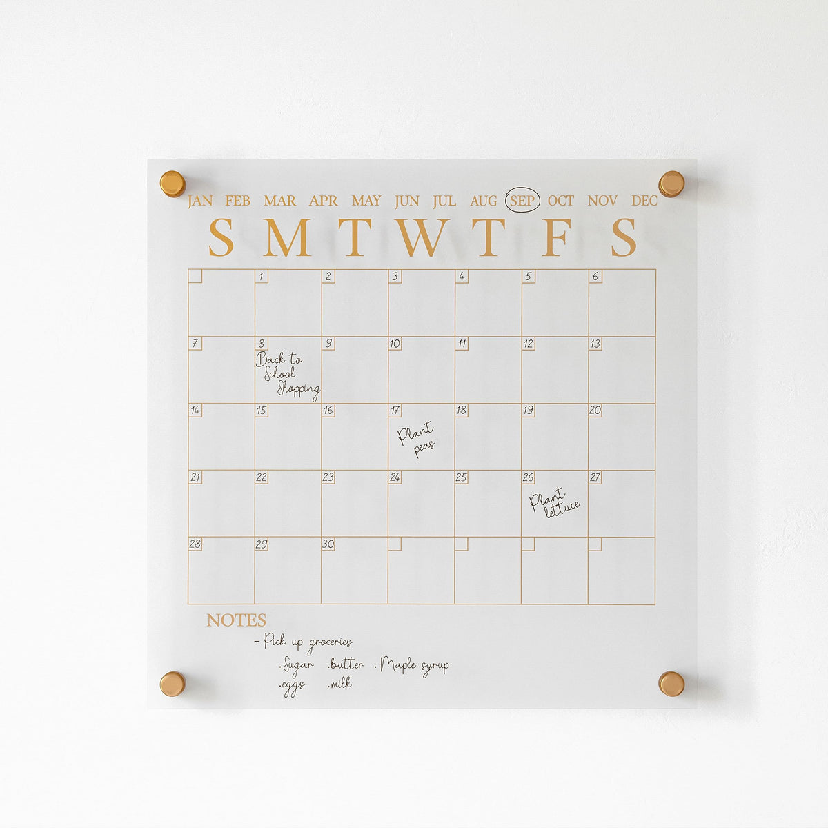 Martha Stewart Grayson Acrylic Dry Erase Wall Calendar with Dry Erase Marker, 14" Square, Clear with Gold Print