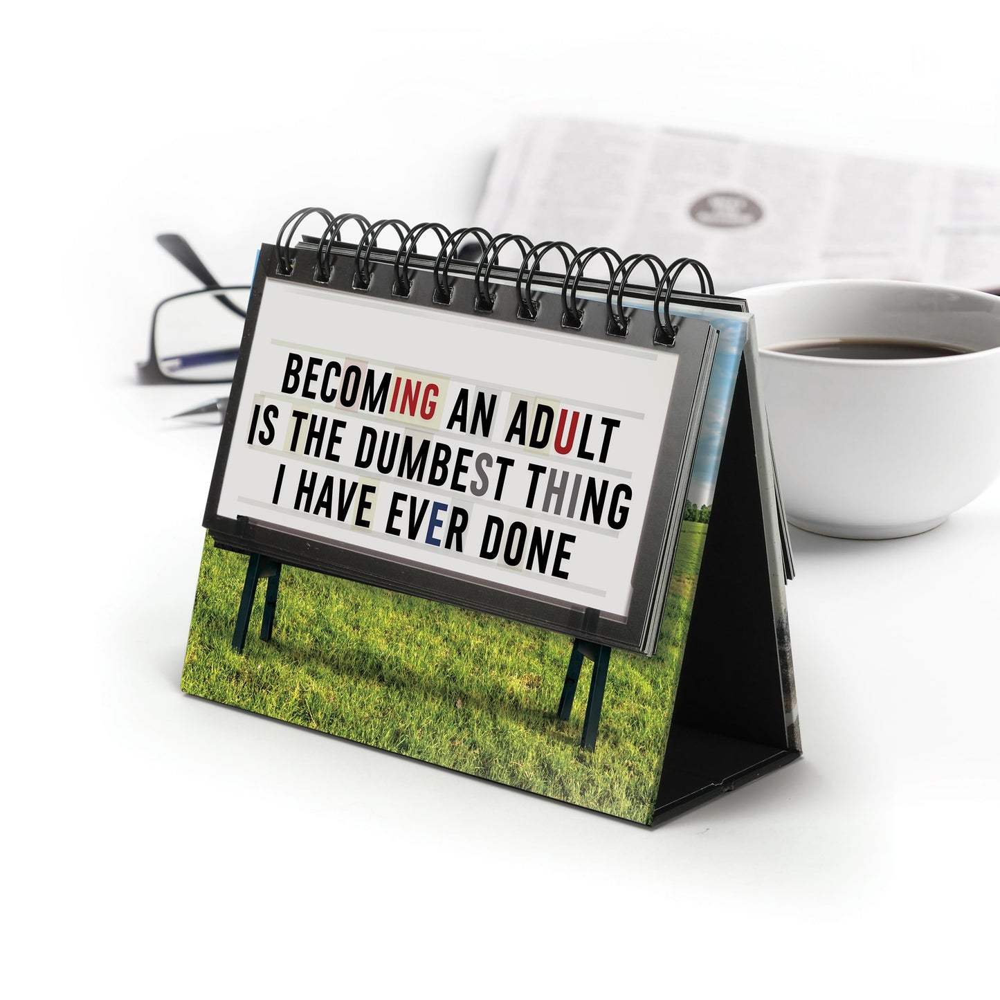 Genuine Fred Daily Marquee Desktop Flipchart, 52 Witty Signs, Fun & Functional Desk Accessories for Home or Office, Funny Gift for Coworkers, Office Gifts