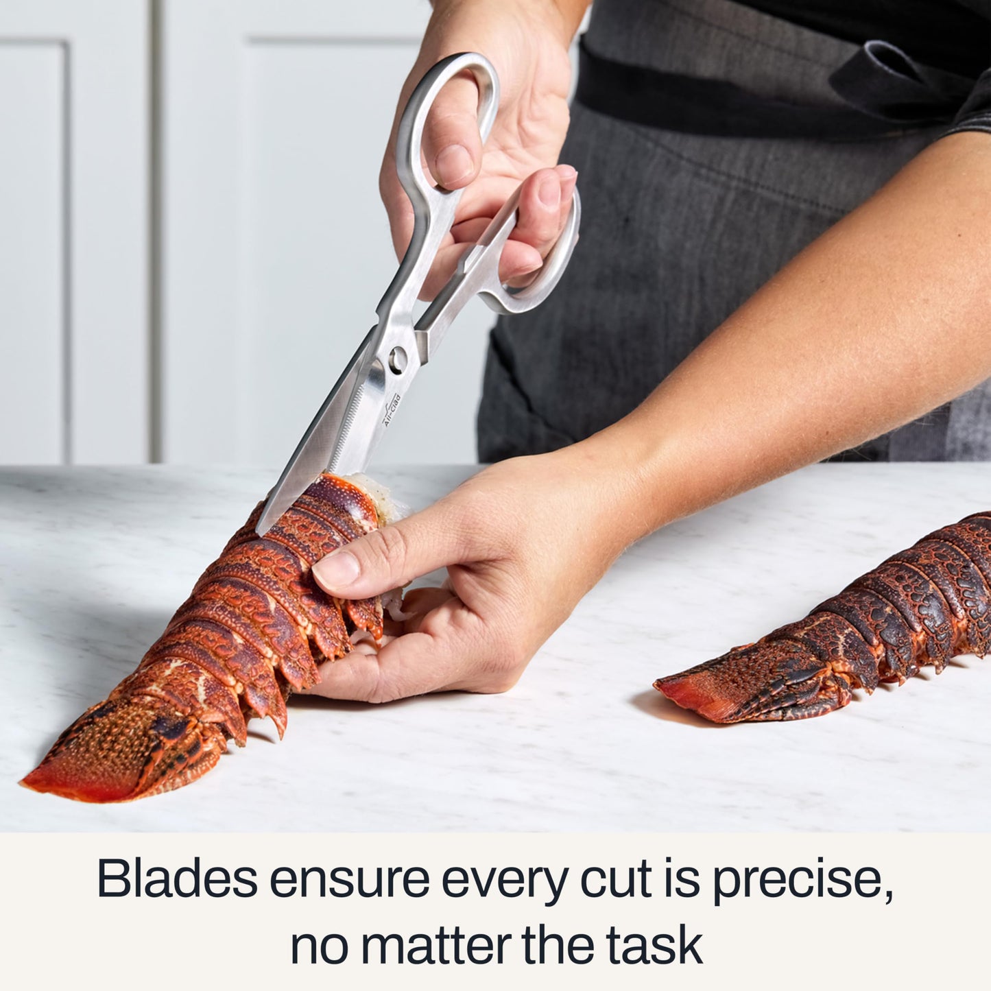 All-Clad Stainless Steel, All Purpose Kitchen Shears,Heavy gauge, Ergonomic, Rust-resistance, Food Scissors for Kitchen, Chicken, Poultry, Fish, Meat,Shelfish, Snipping herbs, 8.19 inch, Silver