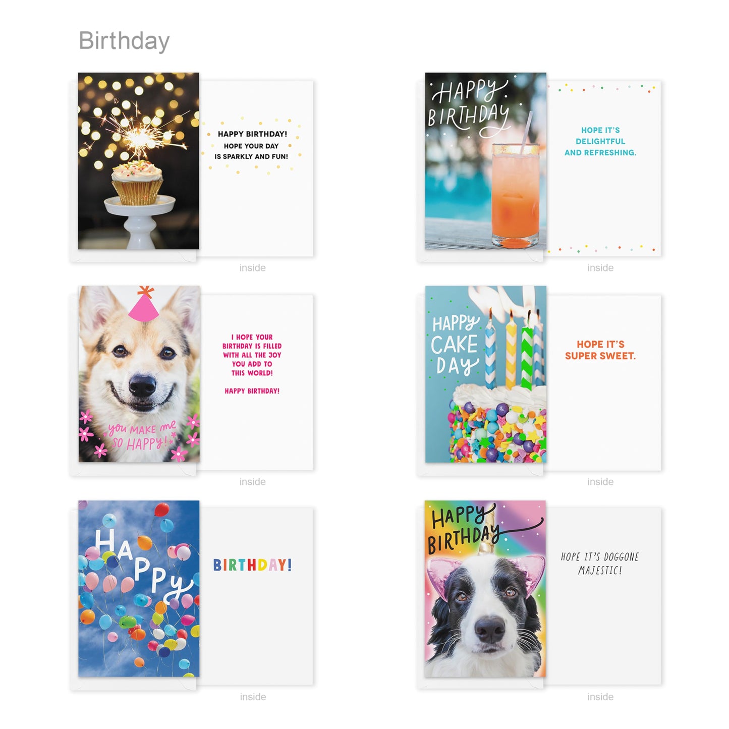 Recycled Paper Greetings 30-Count Funny Birthday Card Assortment with Envelopes, Seals, and Storage Box by Vicky Barone