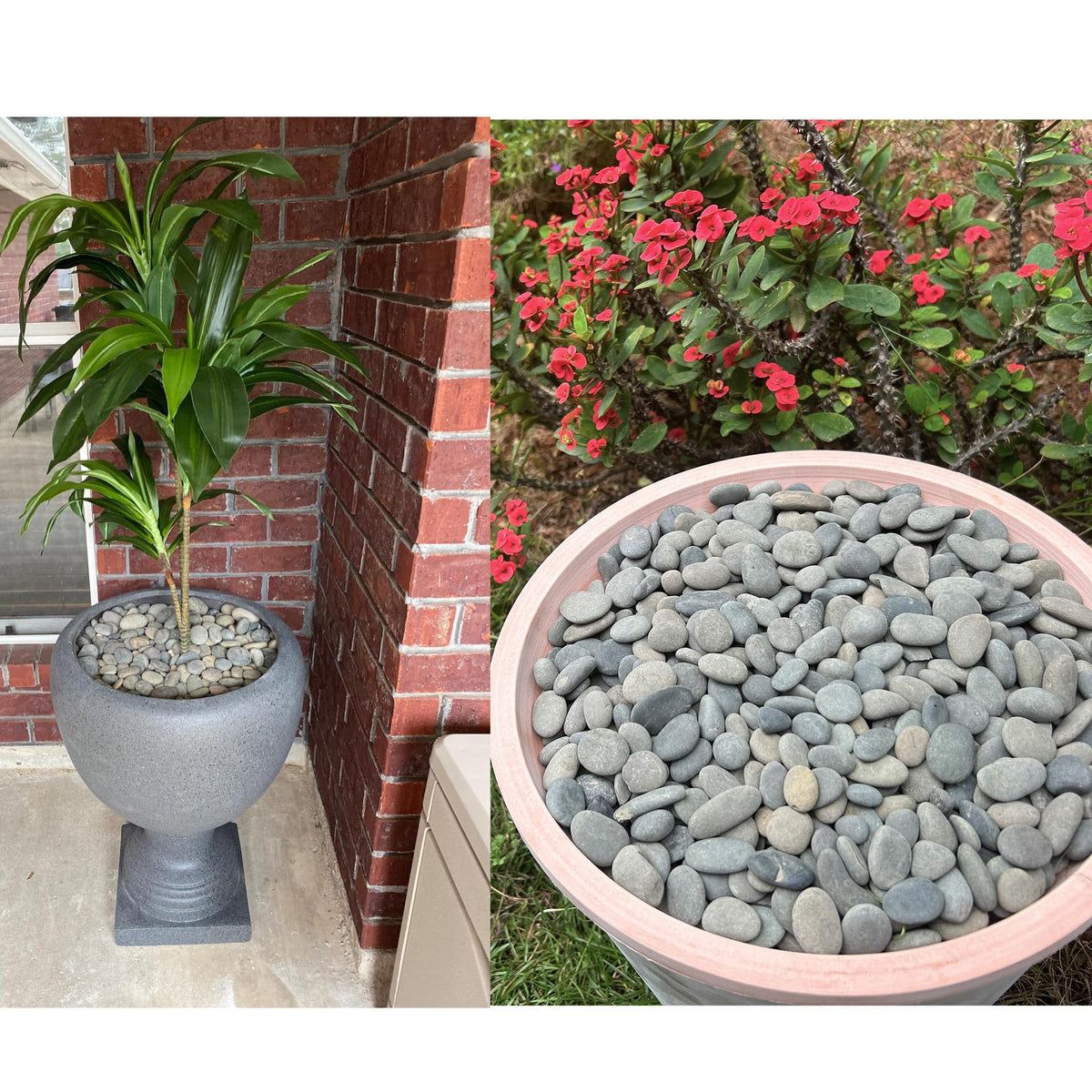 2.4LB River Rocks Mexican Beach Pebbles for Garden Landscape Stone Paving Stone Grey (1Inch)