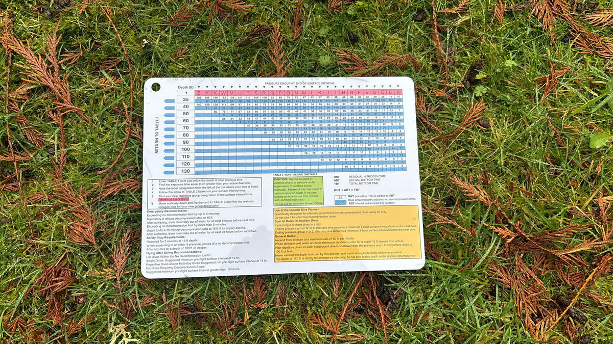Crystal Ocean Dive Log Sheets (100 logs / 50 sheets) & Imperial No Decompression Waterproof Dive Planner (feet)