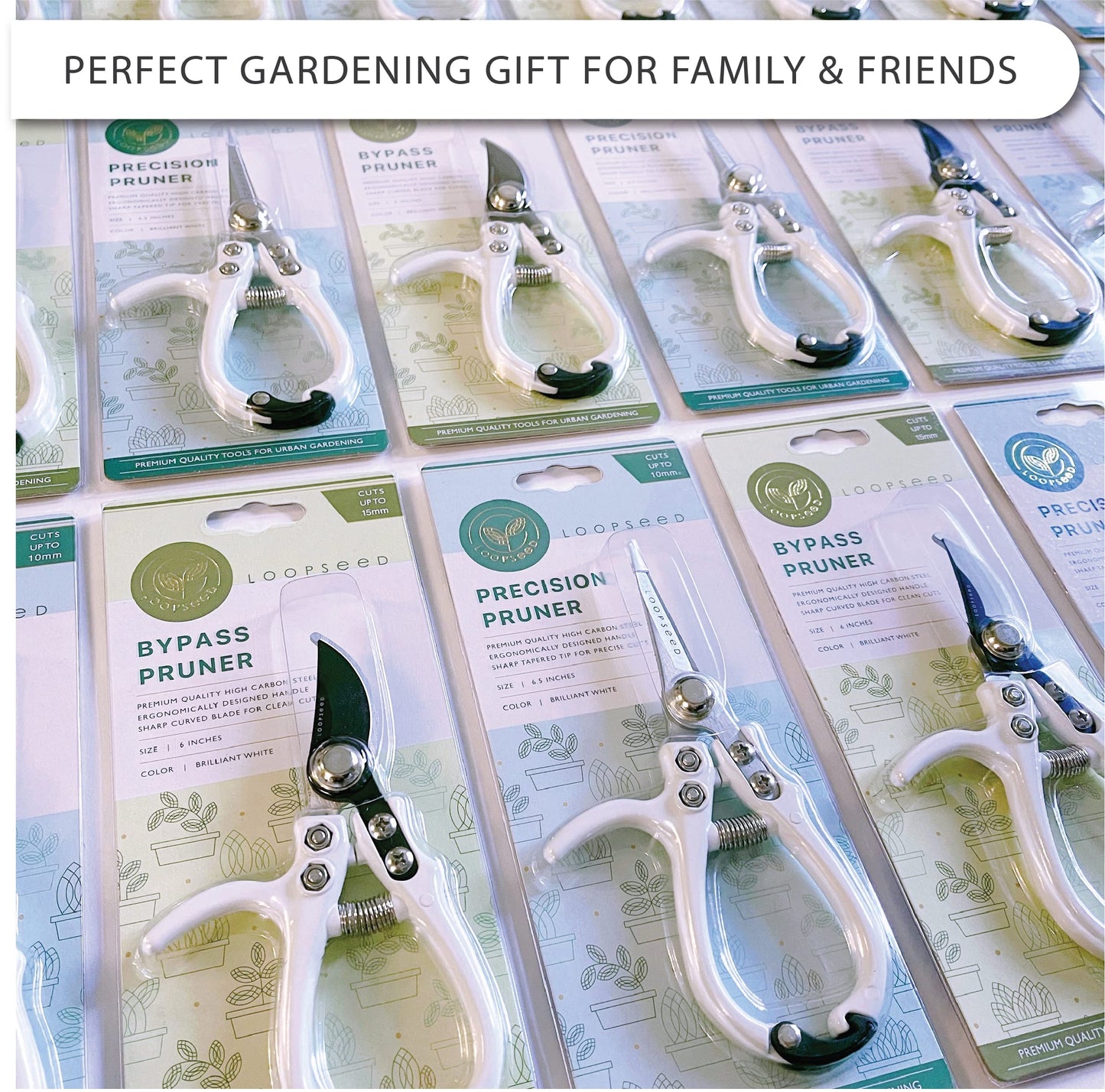 LOOPSEED Plant Pruning Shears Garden Trimming Scissors Precision Hand Pruner Herb Snips Flower Clippers Bonsai Trimmers Straight Sharp Blade Tapered Tip Ergonomic Handle Garden Tools (Classic Cream)